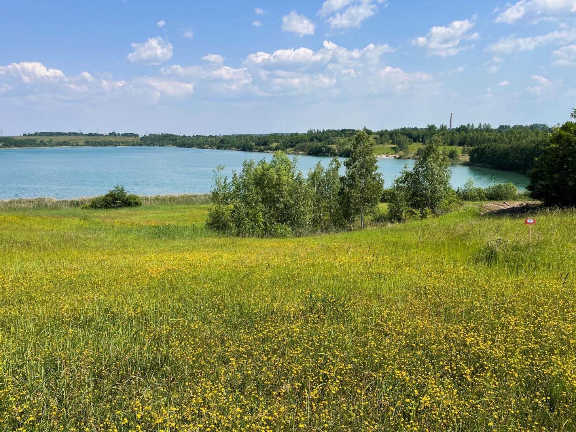 Haus Im Schilf 2 - Ferienwohnungen Am Hainer See Bei Leipzig Neukieritzsch Exteriör bild