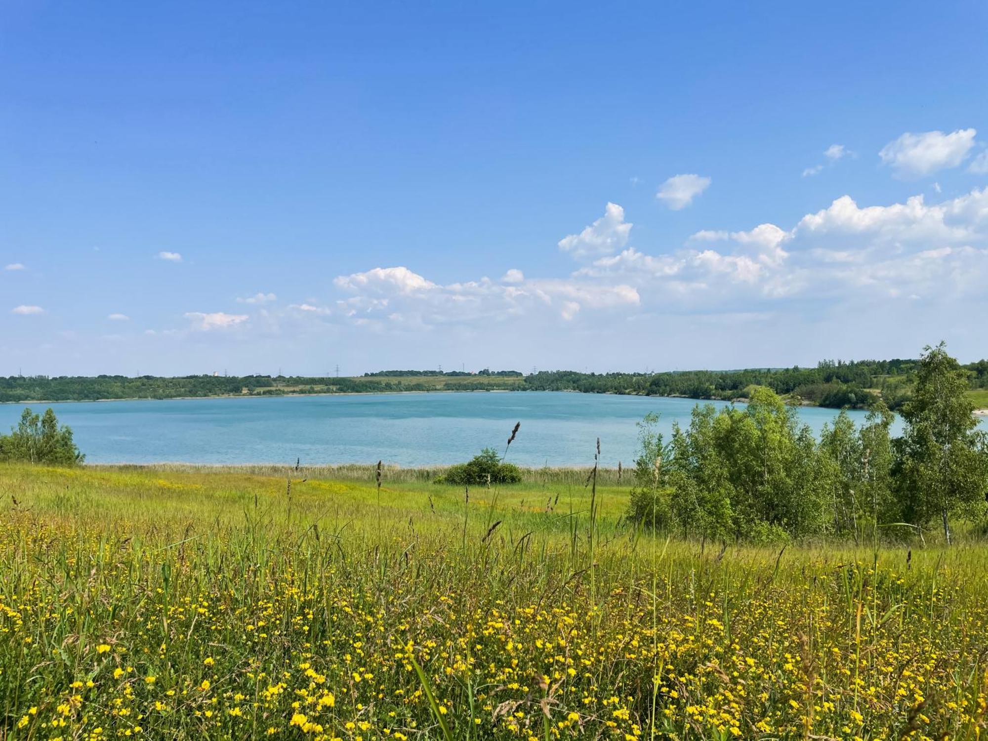 Haus Im Schilf 2 - Ferienwohnungen Am Hainer See Bei Leipzig Neukieritzsch Exteriör bild