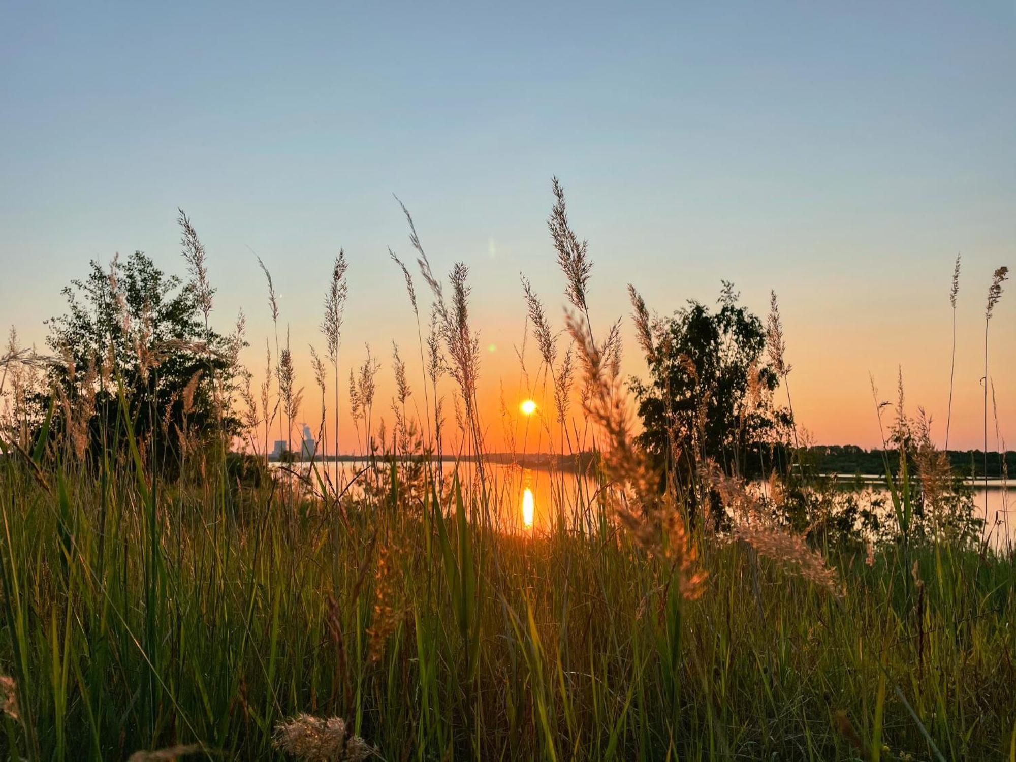 Haus Im Schilf 2 - Ferienwohnungen Am Hainer See Bei Leipzig Neukieritzsch Exteriör bild